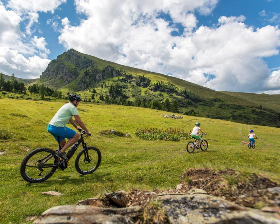 Penthouse Skyview Im Natur-Erlebnispark Bad Kleinkirchheim Patergassen المظهر الخارجي الصورة