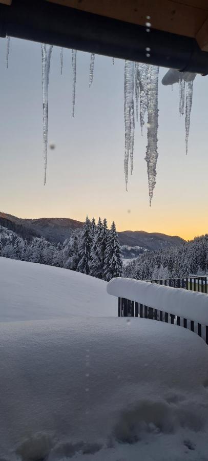 Penthouse Skyview Im Natur-Erlebnispark Bad Kleinkirchheim Patergassen المظهر الخارجي الصورة